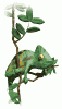 Animations - 024